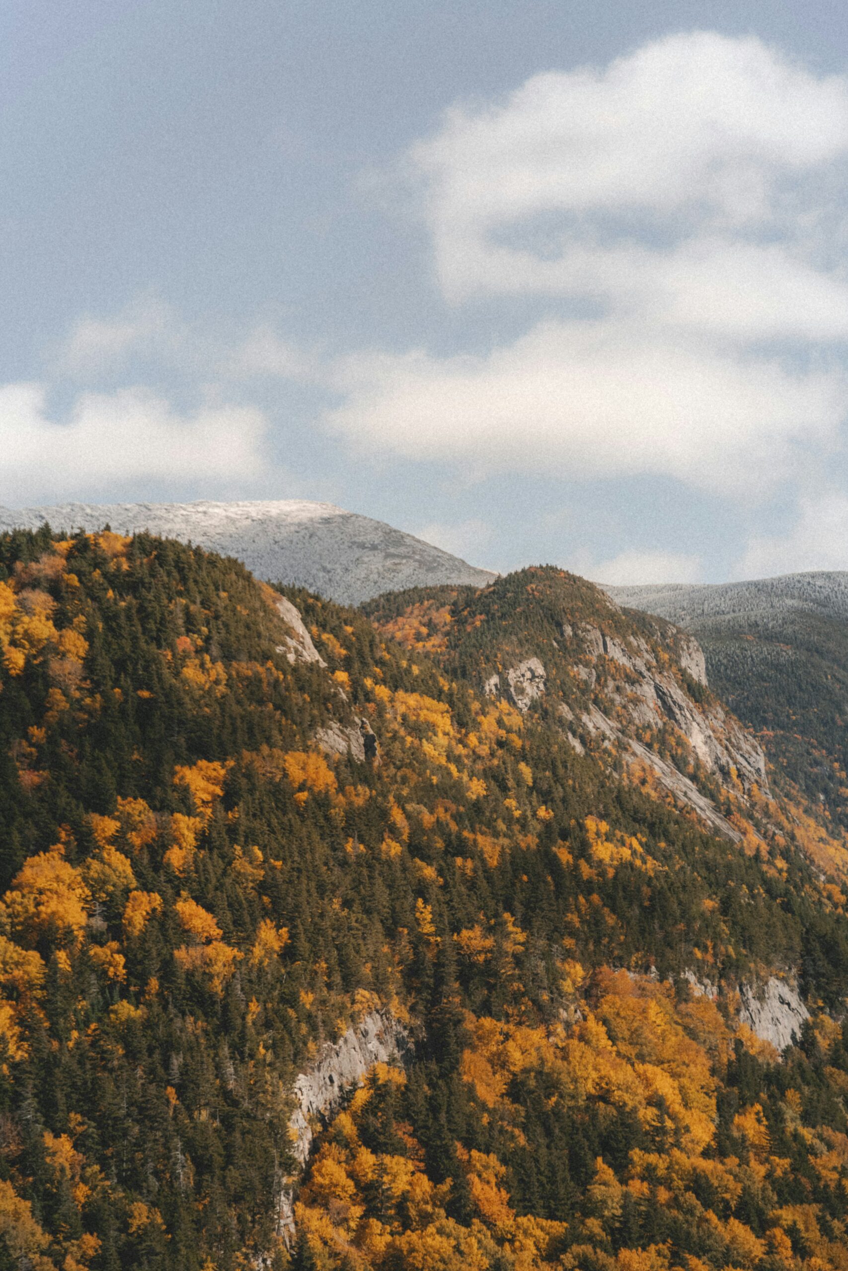 Ways to Make Your House Cozy for Fall Showings