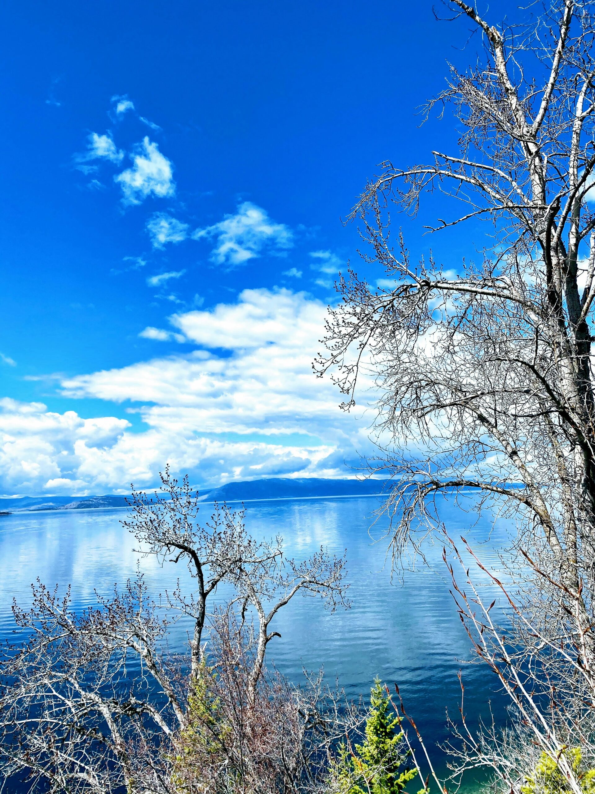 Flathead Lake